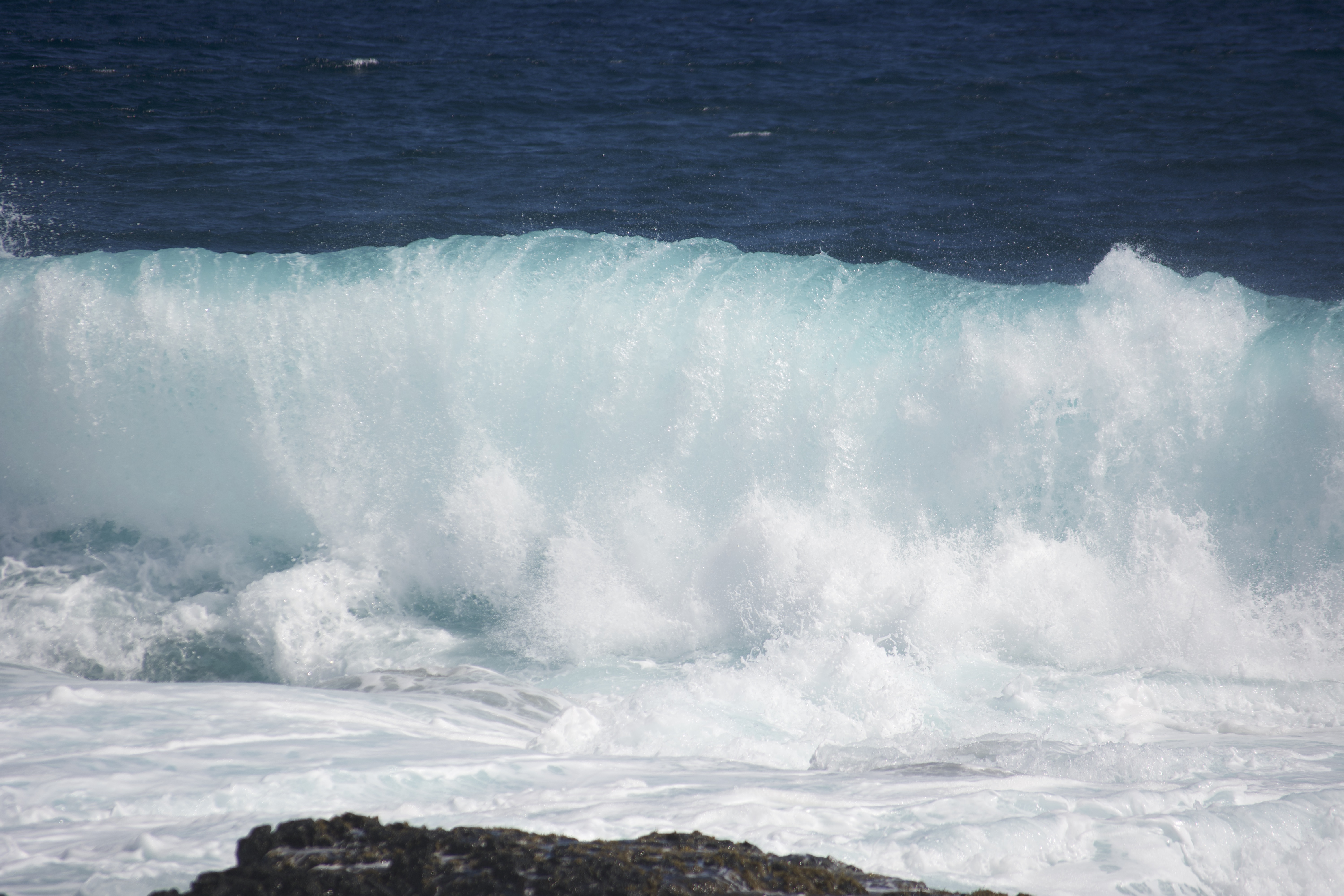 DSC_0639